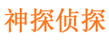 施甸市侦探调查公司